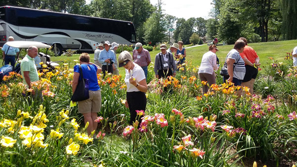 Bus tour visitors a Lidinsky's garden, 2018