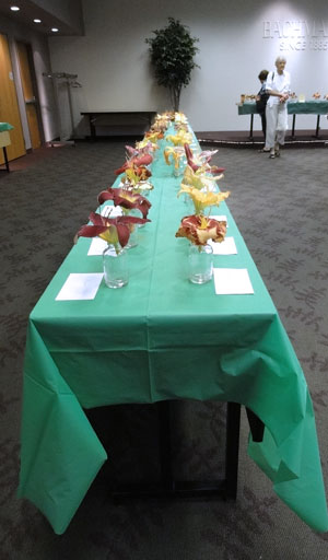 photo of display table